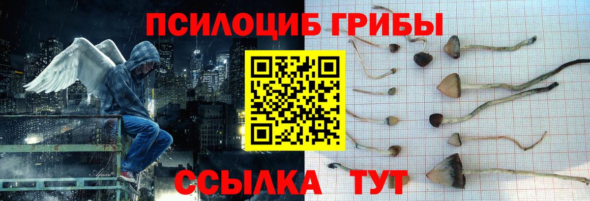 Соль-Илецк  Псилоцибиновые грибы Psilocybine cubensis  Вход с VPN  Псилоцибиновые грибы мухоморы 